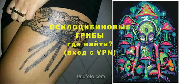 не бодяженный Алексин