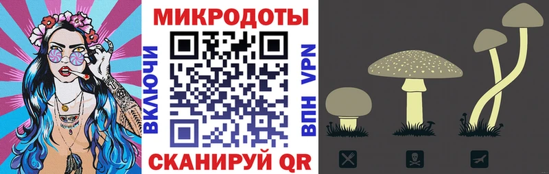 купить  сайты  Егорьевск  Псилоцибиновые грибы MAGIC MUSHROOMS 